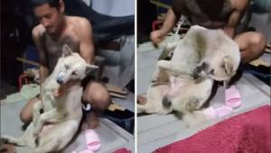 Właściciel chce wykąpać swojego psa, jednak reakcja psa rozbawi każdego do łez! 